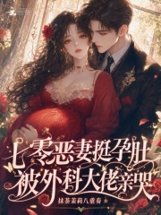 七零恶妻挺孕肚，被外科大佬亲哭