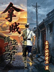 拿贼：缉盗五十年